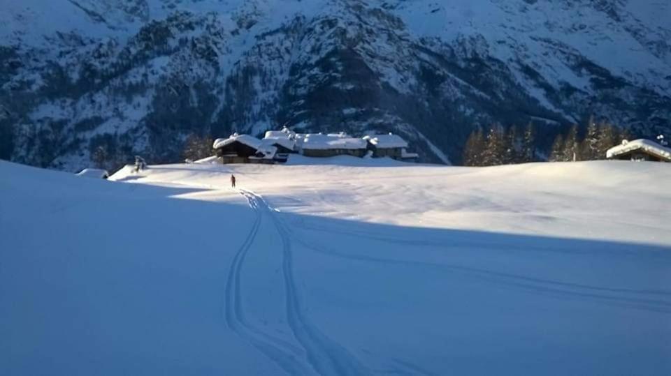 Chalet Le Lis Valtournenche Exterior foto