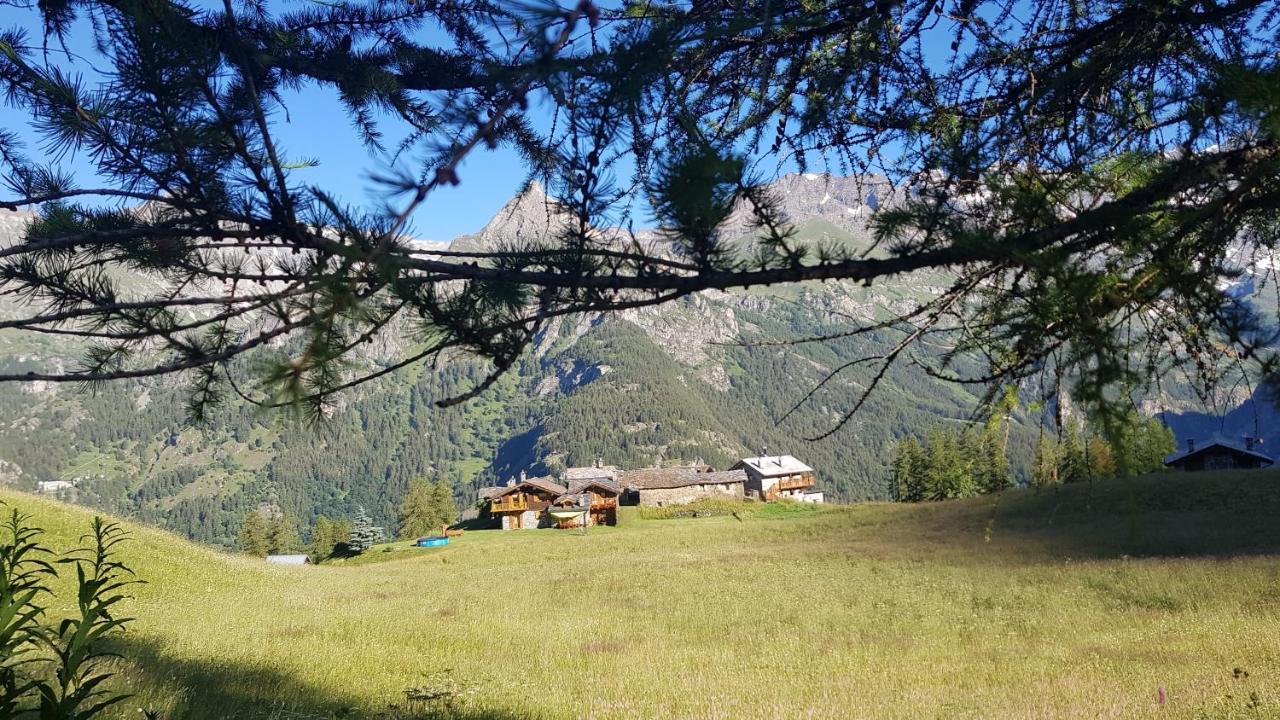 Chalet Le Lis Valtournenche Exterior foto